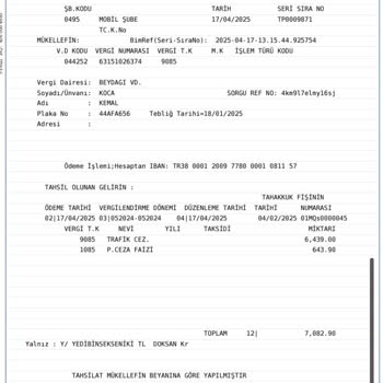 Trafik Cezası Ödeme Sistemindeki Hatalar Mağduriyet Yaratıyor