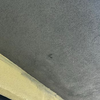 Bahçe Düzeni Ve Bakımı Hakkında Şikayet