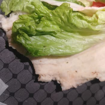 Hijyen Skandalı: Sandviçlerde Böcek Ve Sinek Şoku