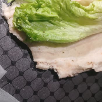 Hijyen Skandalı: Sandviçlerde Böcek Ve Sinek Şoku