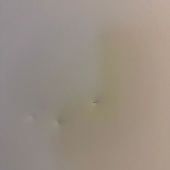 Ceva Lojistik İle Hasarlı Ürün Teslimatı Krizi