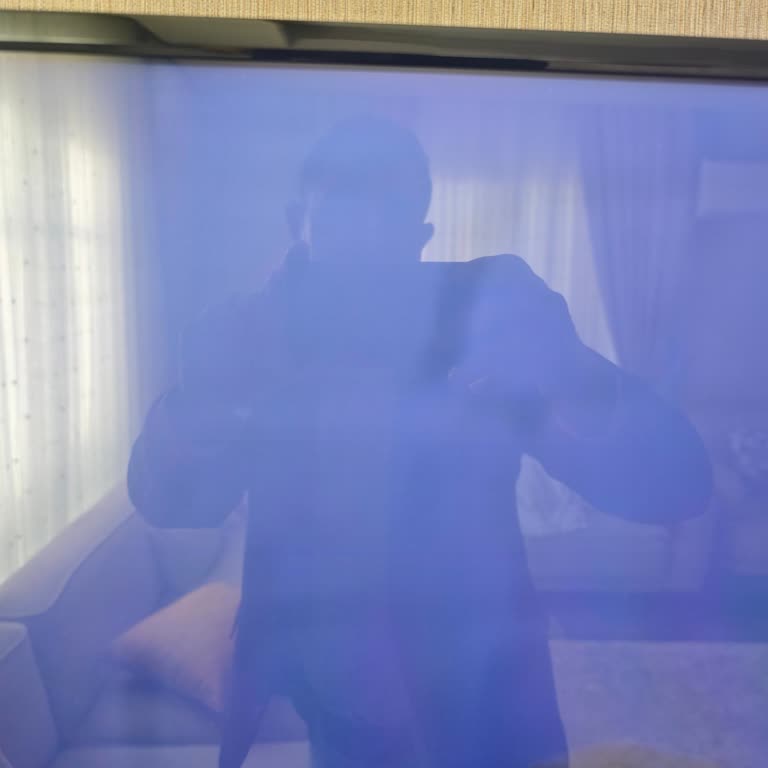 Vestel TV'nin Garanti Süresi Biter Bitmez Arıza Yapması