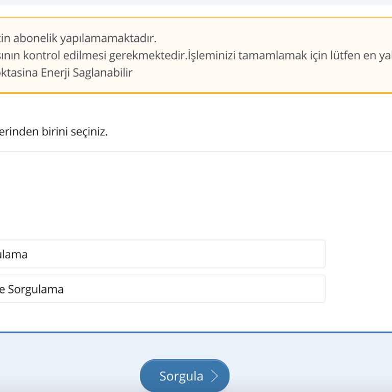 E-Devlet Üzerinden Elektrik Aboneliği Başlatma Sorunu