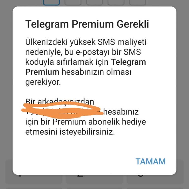 E-posta Erişimi Olmadan Telegram'a Giriş Sorunu