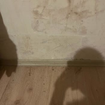 Hayal Kırıklığına Uğratan GAP Turu Deneyimi