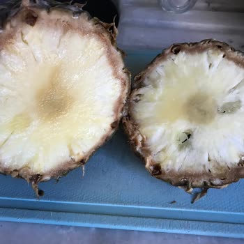Bozuk Ananas Ve İade Sorunu