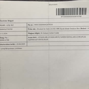 Dayanıklı Olmayan Bot Ve Yetersiz Müşteri Hizmeti