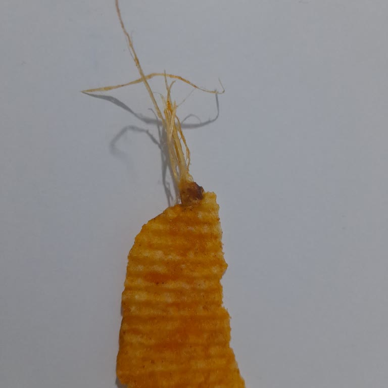 Ruffles Cips Paketinden Çıkan Yabancı Madde Şoku