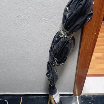 Kurumuş Erik Fidanı Ve Hayal Kırıklığı