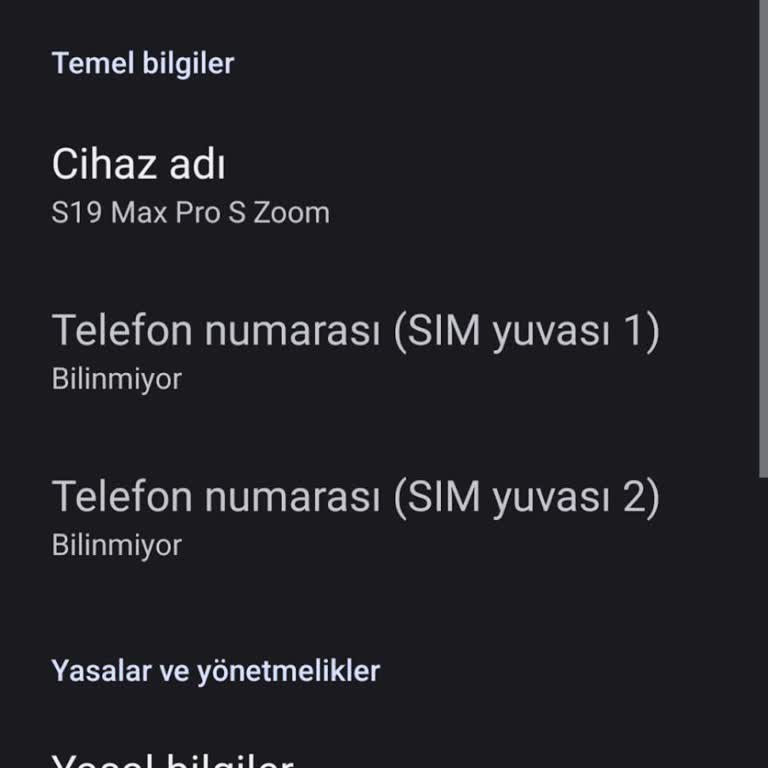 Reeder S19 Max Pro S: Bitmeyen Güncelleme ve Renk Sorunları