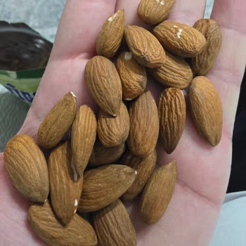 Yanlış Ürün Deneyimi: Badem Yerine Kayısı Çekirdeği