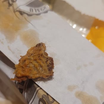 Siparişte Şok: Dönerin İçinden Çıkan Tüylü Sürpriz!