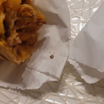 Siparişte Şok: Dönerin İçinden Çıkan Tüylü Sürpriz!