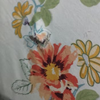 Çamaşır Makinesi Kabusu: Beko'nun Sorunlu Ürünü