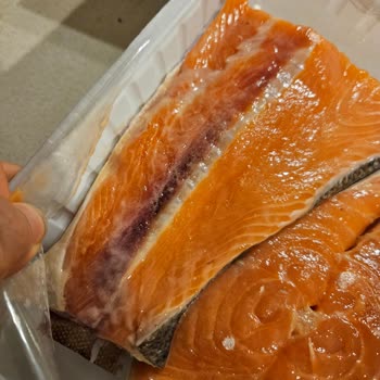 Bozuk Somon Balığı: 500 TL Zarar!