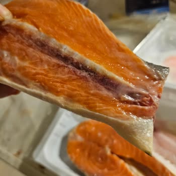 Bozuk Somon Balığı: 500 TL Zarar!