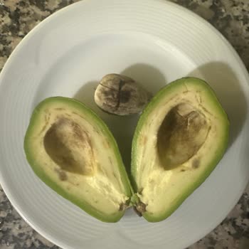 Fiyasko Avokadolar Ve Yüksek Fiyatlar
