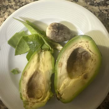 Fiyasko Avokadolar Ve Yüksek Fiyatlar