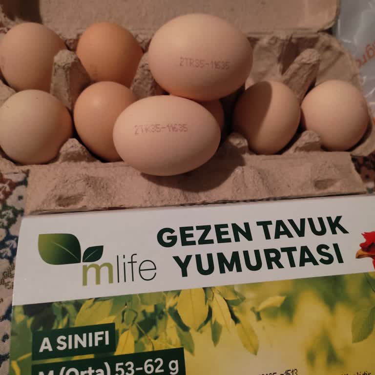 Migros Gezen Tavuk Yumurtalarında Yanıltıcı Etiketleme Sorunu