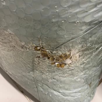 Patlamış Paket Ve İade Sorunu: Yardım Bekliyorum