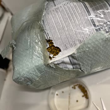 Patlamış Paket Ve İade Sorunu: Yardım Bekliyorum