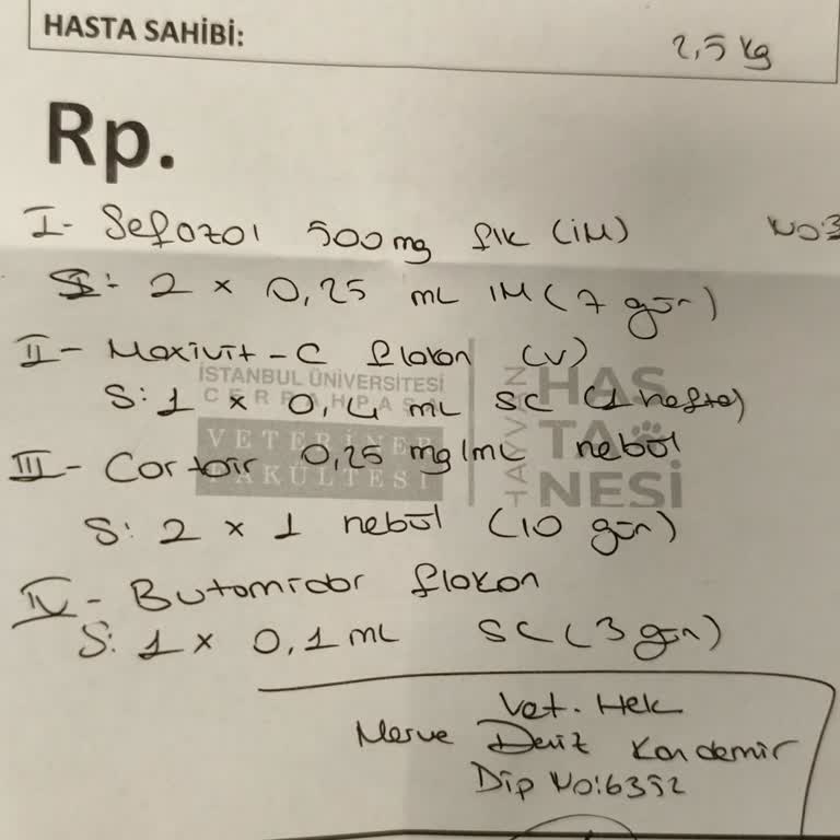 Veteriner Hizmetlerinde Yetersizlik Ve İlgisizlik