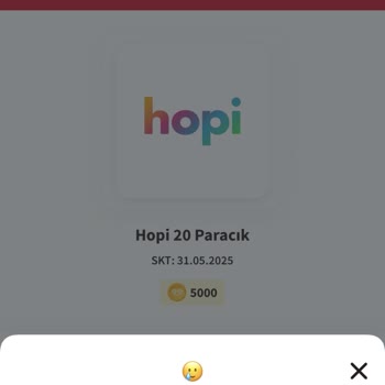 Algida Uygulamasında Hopi Paracık Sorunu