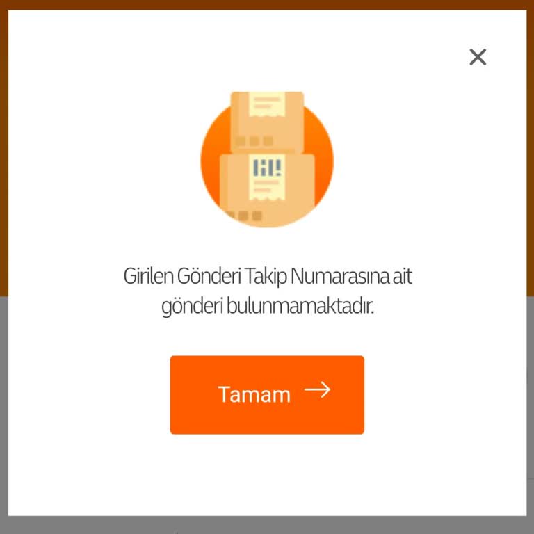Kargo Takibi Sorunu Ve Müşteri Hizmetlerinden Yanıt Alamama