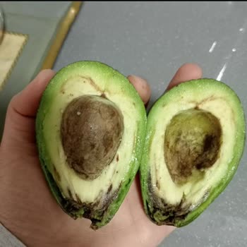 Migros Sanal Market'te Avokado İade Krizi