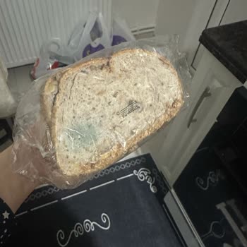 Siparişte Küflü Ekmek Ve Kırık Cam Şişelerle Gelen Hayal Kırıklığı