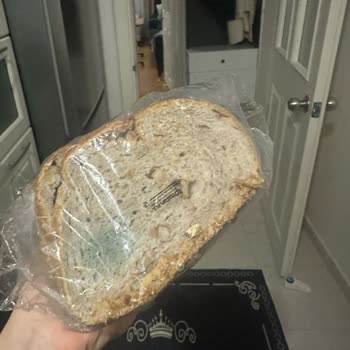 Siparişte Küflü Ekmek Ve Kırık Cam Şişelerle Gelen Hayal Kırıklığı