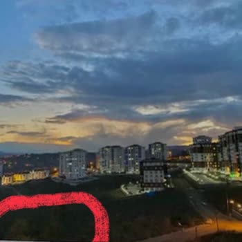 Geceleri Sürekli Havlayan Köpek Sorunu