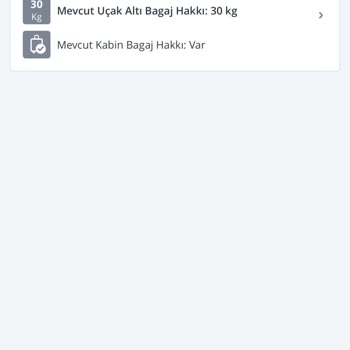 Pegasus'un Sistem Hatası Ve Müşteri Hizmetleri Sorunu