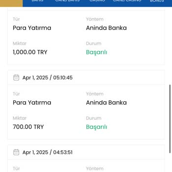 Para Çekme Sorunu Ve Kayıplar: Müşteri Memnuniyetsizliği