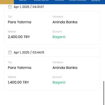 Para Çekme Sorunu Ve Kayıplar: Müşteri Memnuniyetsizliği