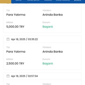 Para Çekme Sorunu Ve Kayıplar: Müşteri Memnuniyetsizliği