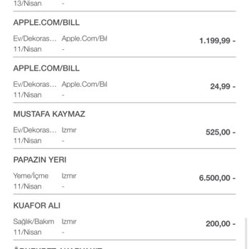 Apple Üyelik Ücreti Ve İlgisiz Destek Sorunu