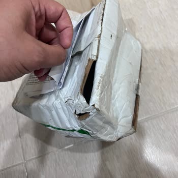 Pendirhan'dan Gelen Hayal Kırıklığı: Tatsız Ve Soluk Çıtır Kabaklar