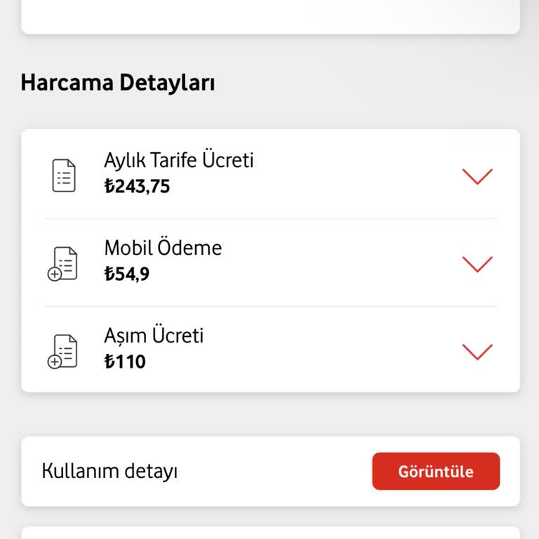 Fatura Durma Özelliği Ve Erişim Sorunu