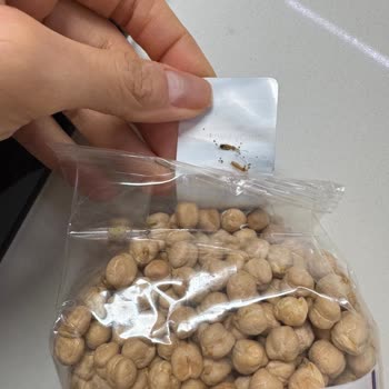 Kurtlanmış Bakliyat Ve İade Sorunu