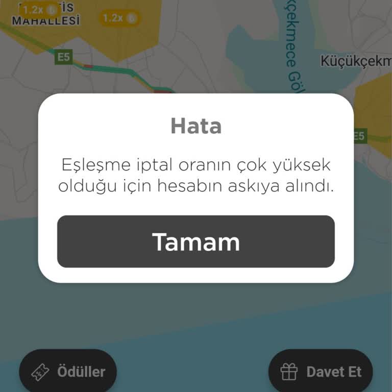 Hesap Askıya Alınması Sorunu