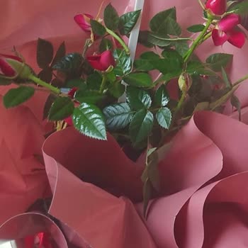 Çiçek Sepeti'nden Hayal Kırıklığı: Yanlış Ürün Ve Yetersiz Hizmet