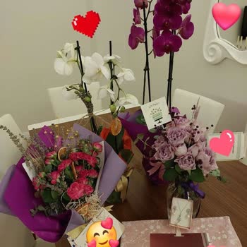 Kırık Orkide Şoku: Taze Çiçek'ten Hayal Kırıklığı