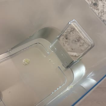 Brita Sebilinde Beklenmedik Yeşil Tabaka Sorunu