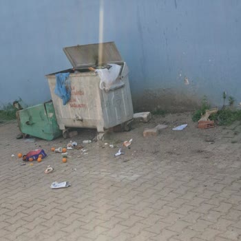 Turgutlu Belediyesi Çöp Toplama Sorunu Ve Mahalle Mağduriyeti