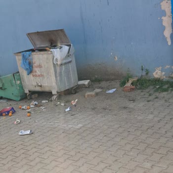 Turgutlu Belediyesi Çöp Toplama Sorunu Ve Mahalle Mağduriyeti