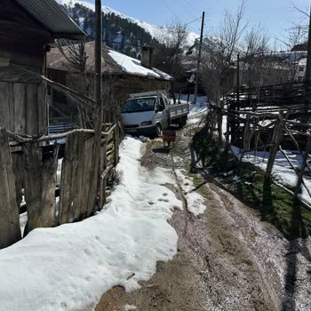 Kasko Hizmeti Alınamayan Kaza Mağduriyeti