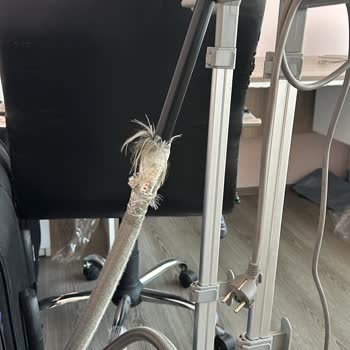 Garanti Kapsamında Ütü Sorunu Ve Müşteri Hizmetleri İletişim Eksikliği