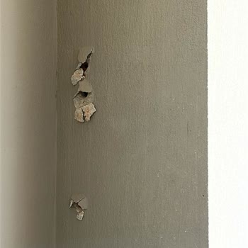 Kurulum Kabusu: Klimanın Yanlış Montajı Ve Kötü Servis Deneyimi