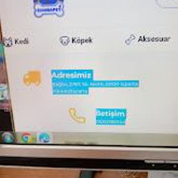 Zumbapet'ten Aldatıcı Hizmet: Ödeme Yapıldı, Ürün Gönderilmedi